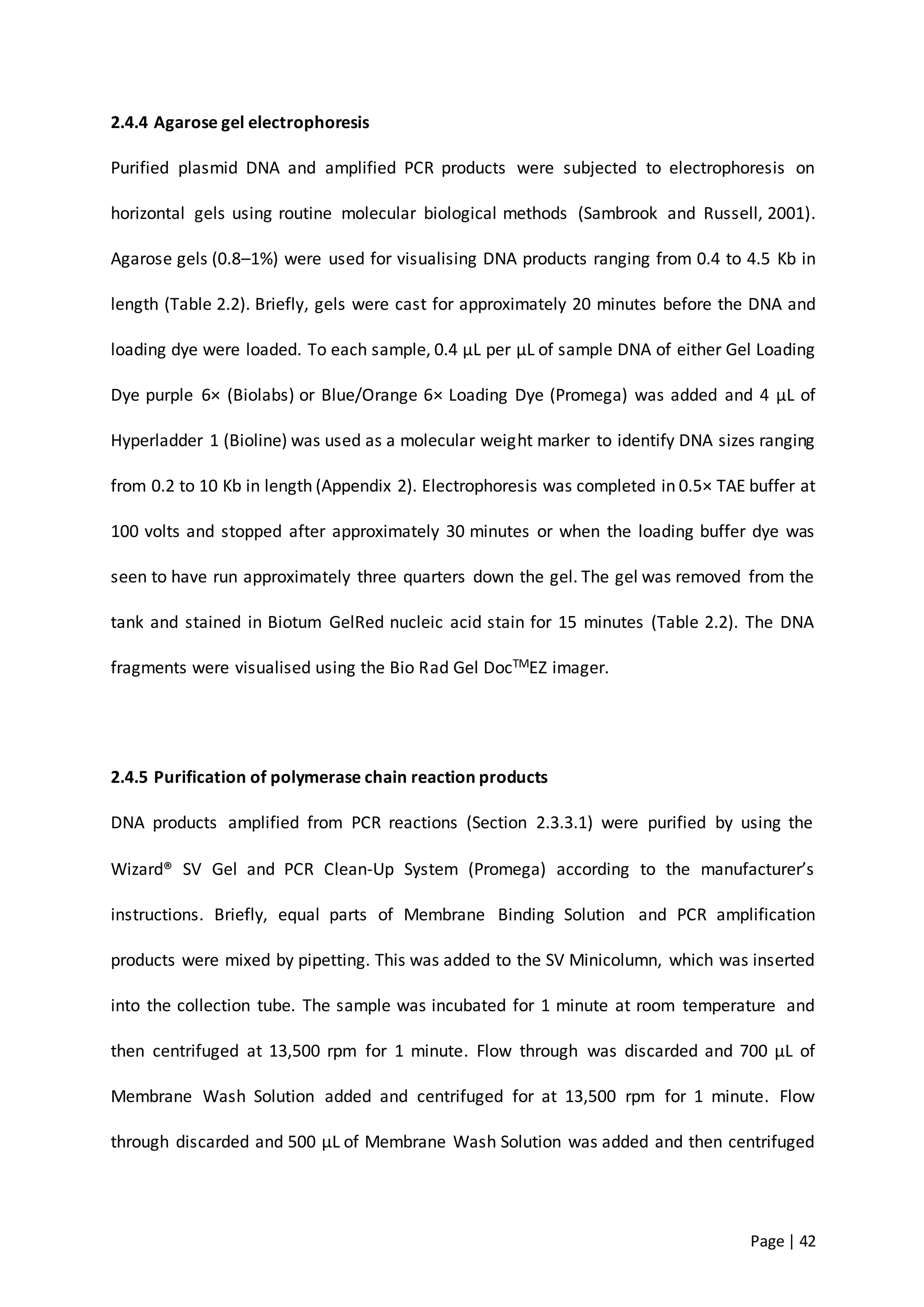 Page | 42
2.4.4 Agarose gel electrophoresis
Purified plasmid DNA and amplified PCR products were subjected to electrophoresis on
horizontal gels using routine molecular biological methods (Sambrook and Russell, 2001).
Agarose gels (0.8–1%) were used for visualising DNA products ranging from 0.4 to 4.5 Kb in
length (Table 2.2). Briefly, gels were cast for approximately 20 minutes before the DNA and
loading dye were loaded. To each sample, 0.4 µL per µL of sample DNA of either Gel Loading
Dye purple 6× (Biolabs) or Blue/Orange 6× Loading Dye (Promega) was added and 4 µL of
Hyperladder 1 (Bioline) was used as a molecular weight marker to identify DNA sizes ranging
from 0.2 to 10 Kb in length (Appendix 2). Electrophoresis was completed in 0.5× TAE buffer at
100 volts and stopped after approximately 30 minutes or when the loading buffer dye was
seen to have run approximately three quarters down the gel. The gel was removed from the
tank and stained in Biotum GelRed nucleic acid stain for 15 minutes (Table 2.2). The DNA
fragments were visualised using the Bio Rad Gel DocTMEZ imager.
2.4.5 Purification of polymerase chain reaction products
DNA products amplified from PCR reactions (Section 2.3.3.1) were purified by using the
Wizard® SV Gel and PCR Clean-Up System (Promega) according to the manufacturer’s
instructions. Briefly, equal parts of Membrane Binding Solution and PCR amplification
products were mixed by pipetting. This was added to the SV Minicolumn, which was inserted
into the collection tube. The sample was incubated for 1 minute at room temperature and
then centrifuged at 13,500 rpm for 1 minute. Flow through was discarded and 700 µL of
Membrane Wash Solution added and centrifuged for at 13,500 rpm for 1 minute. Flow
through discarded and 500 µL of Membrane Wash Solution was added and then centrifuged
 