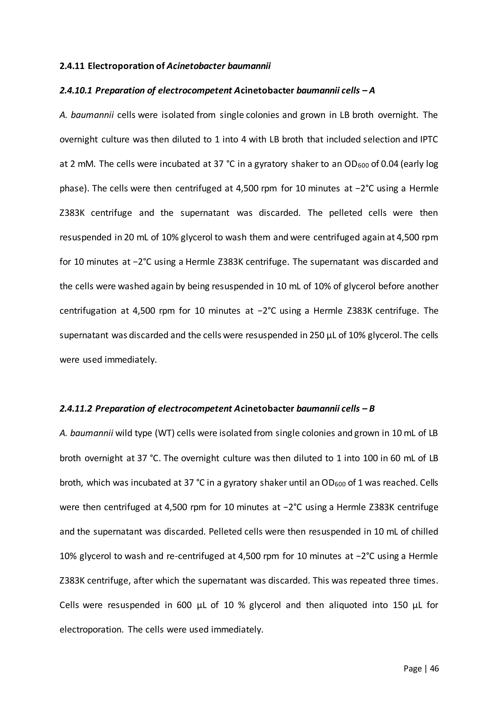 Page | 46
2.4.11 Electroporation of Acinetobacter baumannii
2.4.10.1 Preparation of electrocompetent Acinetobacter baumannii cells – A
A. baumannii cells were isolated from single colonies and grown in LB broth overnight. The
overnight culture was then diluted to 1 into 4 with LB broth that included selection and IPTC
at 2 mM. The cells were incubated at 37 °C in a gyratory shaker to an OD600 of 0.04 (early log
phase). The cells were then centrifuged at 4,500 rpm for 10 minutes at −2°C using a Hermle
Z383K centrifuge and the supernatant was discarded. The pelleted cells were then
resuspended in 20 mL of 10% glycerol to wash them and were centrifuged again at 4,500 rpm
for 10 minutes at −2°C using a Hermle Z383K centrifuge. The supernatant was discarded and
the cells were washed again by being resuspended in 10 mL of 10% of glycerol before another
centrifugation at 4,500 rpm for 10 minutes at −2°C using a Hermle Z383K centrifuge. The
supernatant was discarded and the cells were resuspended in 250 µL of 10% glycerol.The cells
were used immediately.
2.4.11.2 Preparation of electrocompetent Acinetobacter baumannii cells – B
A. baumannii wild type (WT) cells were isolated from single colonies and grown in 10 mL of LB
broth overnight at 37 °C. The overnight culture was then diluted to 1 into 100 in 60 mL of LB
broth, which was incubated at 37 °C in a gyratory shaker until an OD600 of 1 was reached. Cells
were then centrifuged at 4,500 rpm for 10 minutes at −2°C using a Hermle Z383K centrifuge
and the supernatant was discarded. Pelleted cells were then resuspended in 10 mL of chilled
10% glycerol to wash and re-centrifuged at 4,500 rpm for 10 minutes at −2°C using a Hermle
Z383K centrifuge, after which the supernatant was discarded. This was repeated three times.
Cells were resuspended in 600 µL of 10 % glycerol and then aliquoted into 150 µL for
electroporation. The cells were used immediately.
 