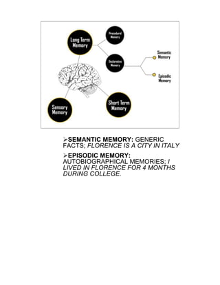 !SEMANTIC MEMORY: GENERIC
FACTS; FLORENCE IS A CITY IN ITALY
!EPISODIC MEMORY:
AUTOBIOGRAPHICAL MEMORIES; I
LIVED IN FLORENCE FOR 4 MONTHS
DURING COLLEGE.
 