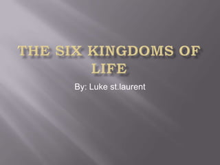 The six kingdoms of life By: Luke st.laurent 