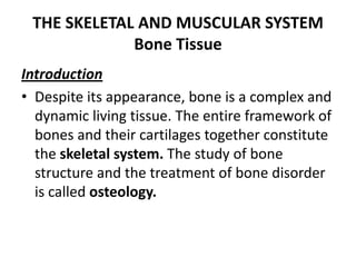 THE SKELETAL AND MUSCULAR SYSTEM
Bone Tissue
Introduction
• Despite its appearance, bone is a complex and
dynamic living tissue. The entire framework of
bones and their cartilages together constitute
the skeletal system. The study of bone
structure and the treatment of bone disorder
is called osteology.
 