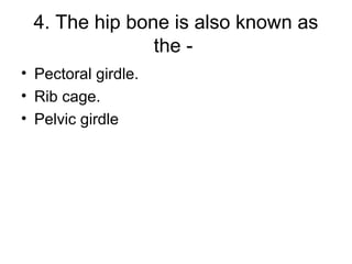 The skeletal and muscular system | PPT