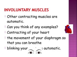 The skeletal and muscular system | PPT
