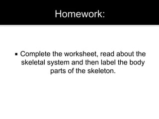  Complete the worksheet, read about the
skeletal system and then label the body
parts of the skeleton.
 