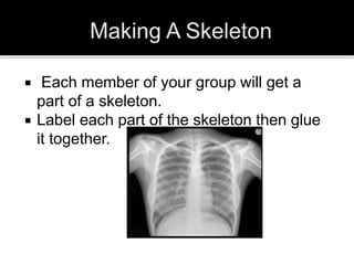  Each member of your group will get a
part of a skeleton.
 Label each part of the skeleton then glue
it together.
 