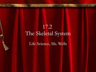 17.2  The Skeletal System Life Science, Ms. Wells 