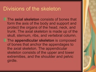 Divisions of the skeleton The  axial skeleton  consists of bones that form the axis of the body and support and protect the organs of the head, neck, and trunk. The axial skeleton is made up of the skull, sternum, ribs, and vertebral column. The  appendicular skeleton  is composed of bones that anchor the appendages to the axial skeleton. The appendicular skeleton consists of the upper and lower extremities, and the shoulder and pelvic girdle. 
