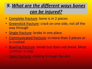 9. What are the different ways bones
          can be injured?
• Complete fracture: bone is in 2 pieces
• Greenstick fracture: crack on one side, not all the
  way through
• Single fracture: broke in one place
• Communicated fracture: in more than 2 pieces or
  is crushed
• Bowling fracture: bends but does not break. Most
  common in kids
• Open fracture: sticking through the skin
 