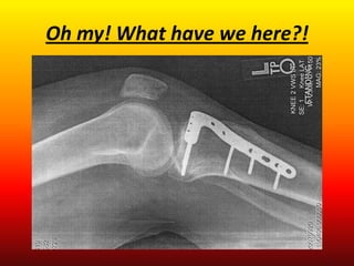 Oh my! What have we here?!
 