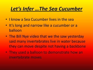 Let’s Infer …The Sea Cucumber
• I know a Sea Cucumber lives in the sea
• It’s long and narrow like a cucumber or a
  balloon
• The Bill Nye video that we the saw yesterday
  said many invertebrates live in water because
  they can move despite not having a backbone
• They used a balloon to demonstrate how an
  invertebrate moves
 