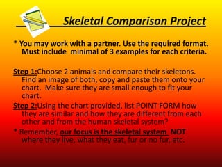 Skeletal Comparison Project
* You may work with a partner. Use the required format.
   Must include minimal of 3 examples for each criteria.

Step 1:Choose 2 animals and compare their skeletons.
   Find an image of both, copy and paste them onto your
   chart. Make sure they are small enough to fit your
   chart.
Step 2:Using the chart provided, list POINT FORM how
   they are similar and how they are different from each
   other and from the human skeletal system?
* Remember, our focus is the skeletal system NOT
   where they live, what they eat, fur or no fur, etc.
 