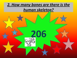 2. How many bones are there is the
        human skeleton?




            206
 