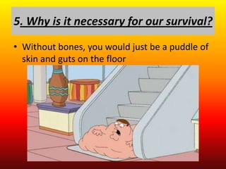 5. Why is it necessary for our survival?
• Without bones, you would just be a puddle of
  skin and guts on the floor
 