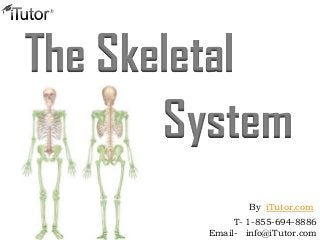 The Skeletal
System
T- 1-855-694-8886
Email- info@iTutor.com
By iTutor.com
 