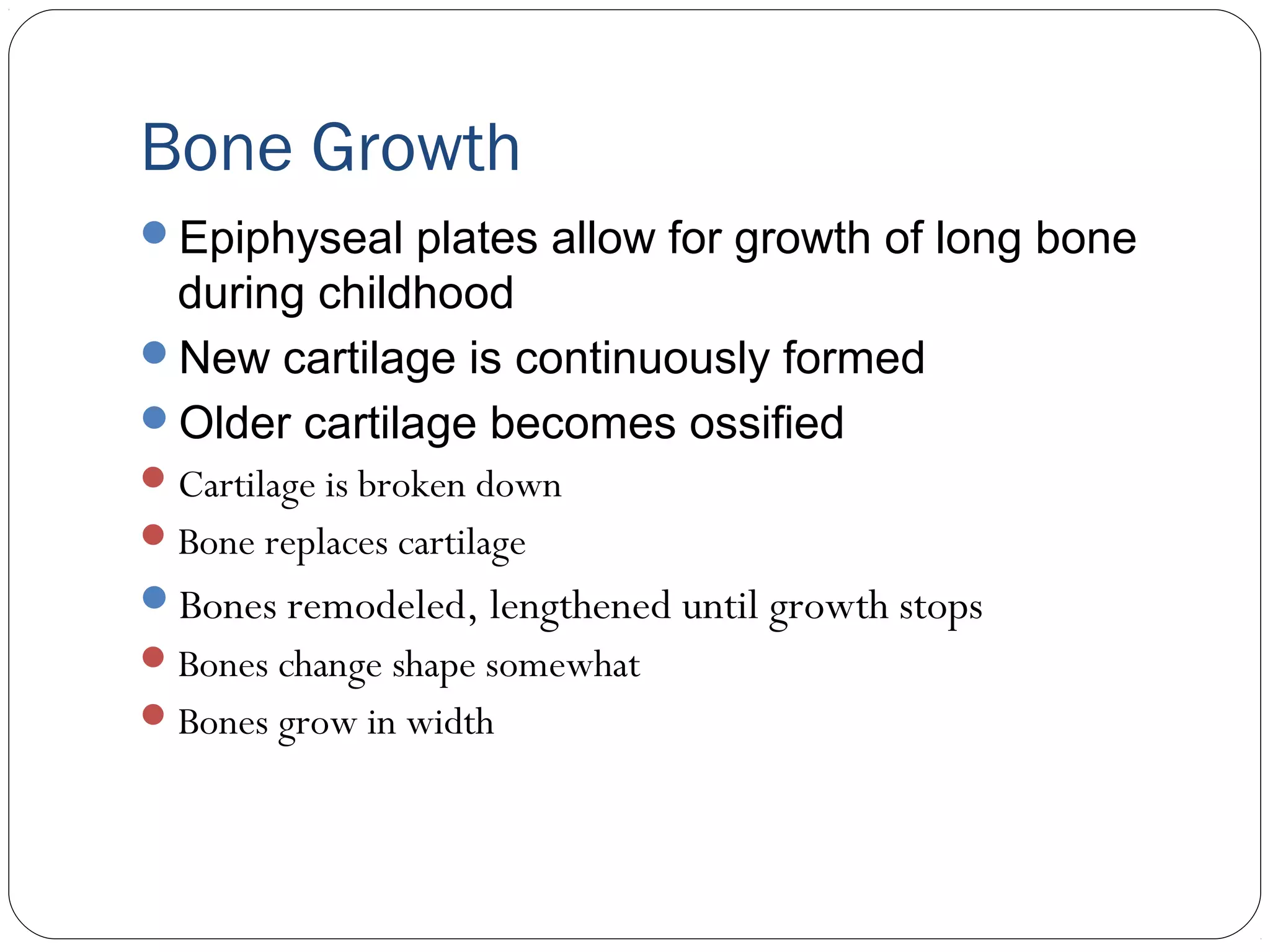 Bone Growth
Epiphyseal plates allow for growth of long bone
during childhood
New cartilage is continuously formed
Older cartilage becomes ossified
Cartilage is broken down
Bone replaces cartilage
Bones remodeled, lengthened until growth stops
Bones change shape somewhat
Bones grow in width
 