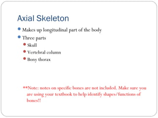 Axial Skeleton
Makes up longitudinal part of the body
Three parts
Skull
Vertebral column
Bony thorax
**Note: notes on specific bones are not included. Make sure you
are using your textbook to help identify shapes/functions of
bones!!
 