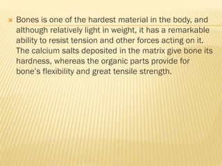  Bones is one of the hardest material in the body, and
although relatively light in weight, it has a remarkable
ability to resist tension and other forces acting on it.
The calcium salts deposited in the matrix give bone its
hardness, whereas the organic parts provide for
bone’s flexibility and great tensile strength.
 