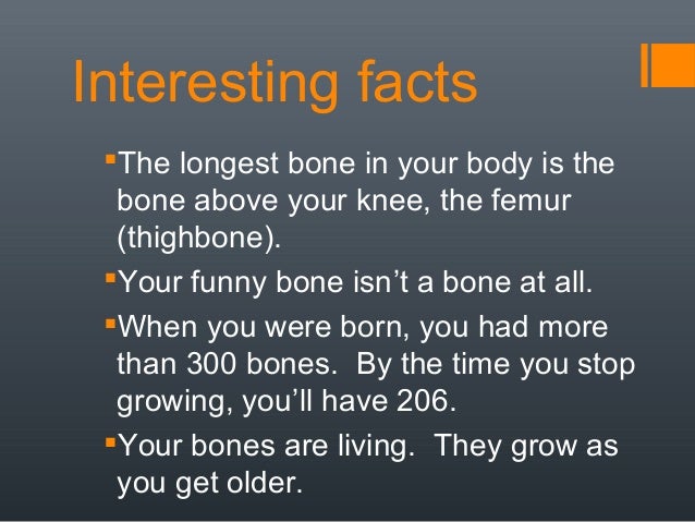 Fun Facts About The Skeletal System For Kids Fun Facts About The Skeletal System For Kids