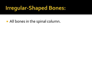  All bones in the spinal column.