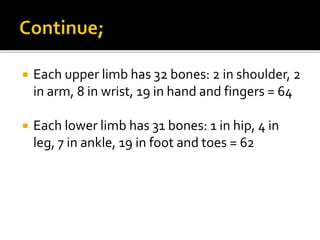  Each upper limb has 32 bones: 2 in shoulder, 2
in arm, 8 in wrist, 19 in hand and fingers = 64
Each lower limb has 31 bones: 1 in hip, 4 in
leg, 7 in ankle, 19 in foot and toes = 62