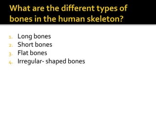 1. Long bones
2. Short bones
3. Flat bones
4. Irregular- shaped bones