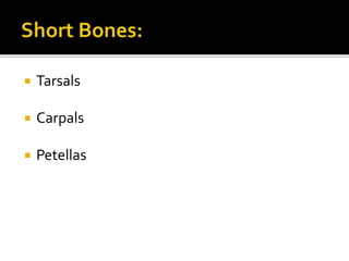  Tarsals
Carpals
Petellas