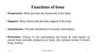 The Skeletal System Part One .pptx