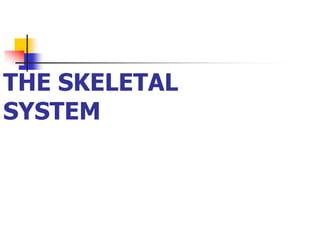 THE SKELETAL
SYSTEM
 