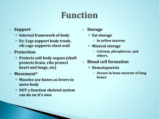  Support
 Internal framework of body
 Ex: Legs support body trunk,
rib cage supports chest wall
 Protection
 Protects soft body organs (skull
protects brain, ribs protect
heart and lungs, etc)
 Movement*
 Muscles use bones as levers to
move body
 NOT a function skeletal system
can do on it’s own
 Storage
 Fat storage
 In yellow marrow
 Mineral storage
 Calcium, phosphorus, and
others.
 Blood cell formation
 Hematopoeisis
 Occurs in bone marrow of long
bones
 