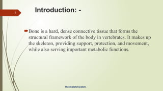 The Skeletal System Part 1 General Anatomy | PPTX