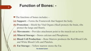 The Skeletal System Part 1 General Anatomy | PPTX