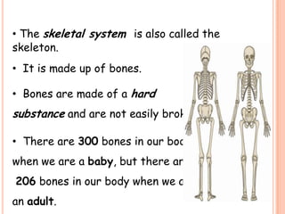 • The skeletal system is also called the
skeleton.
• It is made up of bones.
• Bones are made of a hard
substance and are not easily broken.
• There are 300 bones in our body
when we are a baby, but there are
206 bones in our body when we are
an adult.
 