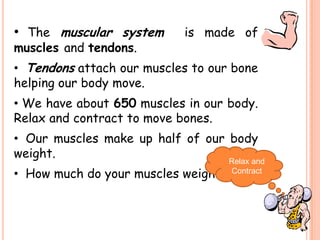 • The muscular system is made of
muscles and tendons.
• Tendons attach our muscles to our bone
helping our body move.
• We have about 650 muscles in our body.
Relax and contract to move bones.
• Our muscles make up half of our body
weight.
• How much do your muscles weigh?
Relax and
Contract
 