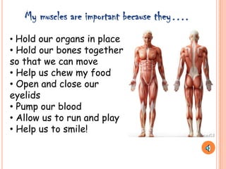 • Hold our organs in place
• Hold our bones together
so that we can move
• Help us chew my food
• Open and close our
eyelids
• Pump our blood
• Allow us to run and play
• Help us to smile!
My muscles are important because they….
 