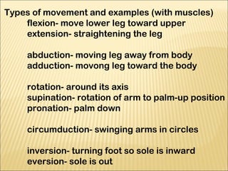 The Skeleton | PPT
