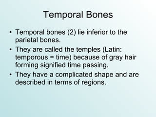 Temporal Bones Temporal bones (2) lie inferior to the parietal bones. They are called the temples (Latin:  temporous = time) because of gray hair forming signified time passing. They have a complicated shape and are described in terms of regions. 
