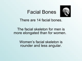 Facial Bones There are 14 facial bones. The facial skeleton for men is more elongated than for women.  Women’s facial skeleton is rounder and less angular. 