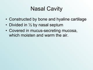Nasal Cavity Constructed by bone and hyaline cartilage Divided in ½ by nasal septum Covered in mucus-secreting mucosa, which moisten and warm the air. 