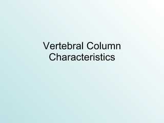 Vertebral Column Characteristics 