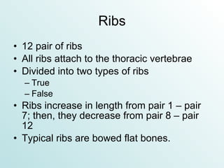 Ribs 12 pair of ribs All ribs attach to the thoracic vertebrae Divided into two types of ribs True False Ribs increase in length from pair 1 – pair 7; then, they decrease from pair 8 – pair 12 Typical ribs are bowed flat bones. 