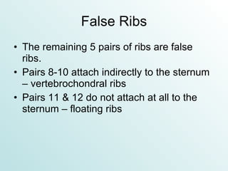 False Ribs The remaining 5 pairs of ribs are false ribs. Pairs 8-10 attach indirectly to the sternum – vertebrochondral ribs Pairs 11 & 12 do not attach at all to the sternum – floating ribs 
