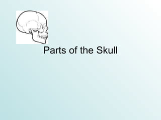 Parts of the Skull 