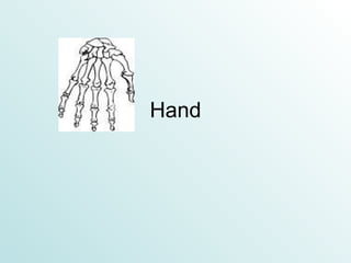 Hand 