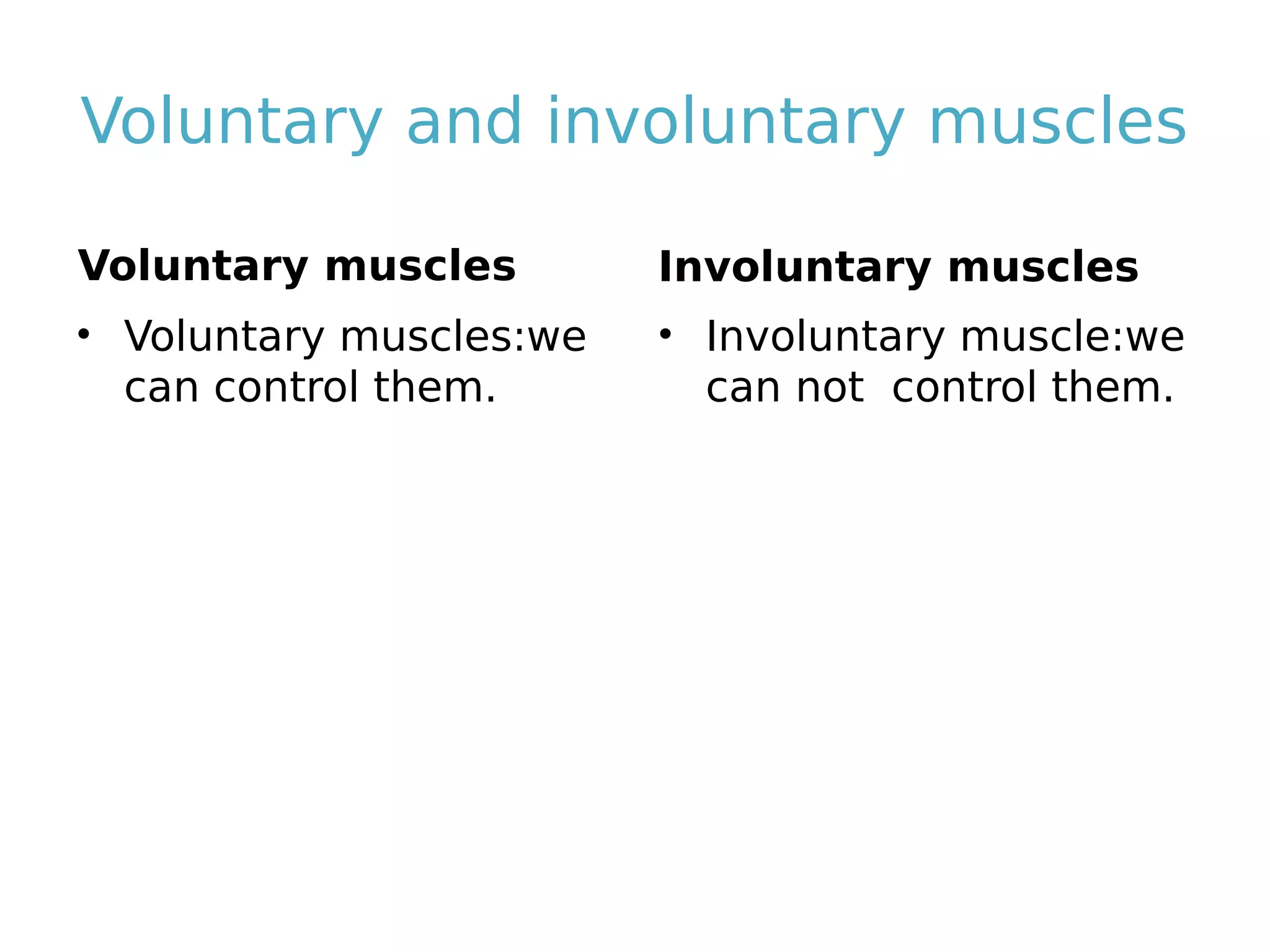 Voluntary and involuntary muscles
Voluntary muscles
• Voluntary muscles:we
can control them.
Involuntary muscles
• Involuntary muscle:we
can not control them.
 