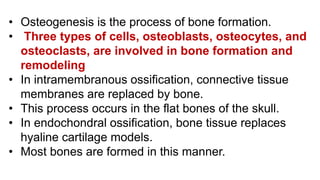 THE SKELETON SYSTEM ANATOMY AND PHYSIOLOGY SLIDESHARE 