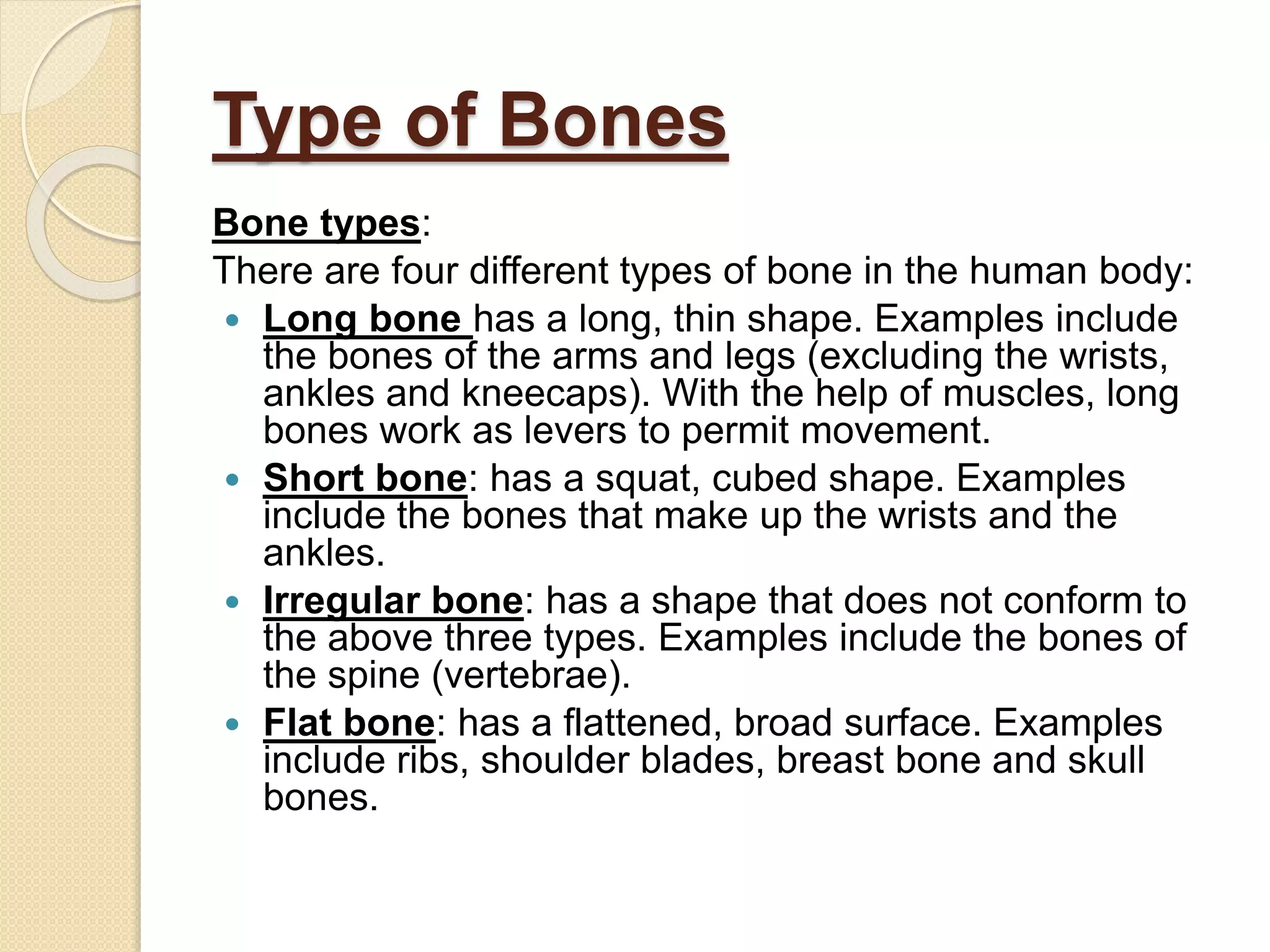 Type of Bones
Bone types:
There are four different types of bone in the human body:
 Long bone has a long, thin shape. Examples include
the bones of the arms and legs (excluding the wrists,
ankles and kneecaps). With the help of muscles, long
bones work as levers to permit movement.
 Short bone: has a squat, cubed shape. Examples
include the bones that make up the wrists and the
ankles.
 Irregular bone: has a shape that does not conform to
the above three types. Examples include the bones of
the spine (vertebrae).
 Flat bone: has a flattened, broad surface. Examples
include ribs, shoulder blades, breast bone and skull
bones.
 