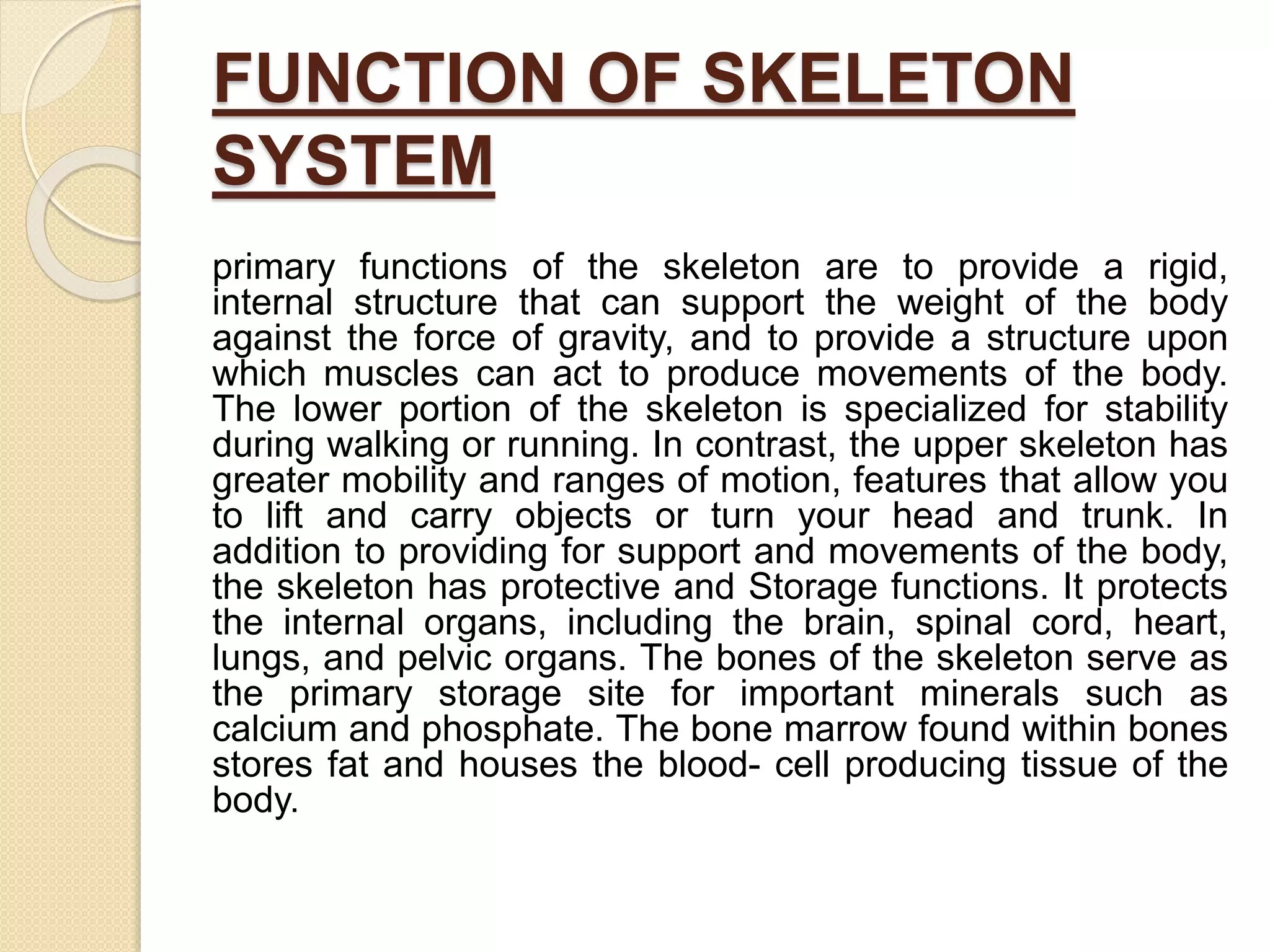 FUNCTION OF SKELETON
SYSTEM
primary functions of the skeleton are to provide a rigid,
internal structure that can support the weight of the body
against the force of gravity, and to provide a structure upon
which muscles can act to produce movements of the body.
The lower portion of the skeleton is specialized for stability
during walking or running. In contrast, the upper skeleton has
greater mobility and ranges of motion, features that allow you
to lift and carry objects or turn your head and trunk. In
addition to providing for support and movements of the body,
the skeleton has protective and Storage functions. It protects
the internal organs, including the brain, spinal cord, heart,
lungs, and pelvic organs. The bones of the skeleton serve as
the primary storage site for important minerals such as
calcium and phosphate. The bone marrow found within bones
stores fat and houses the blood- cell producing tissue of the
body.
 