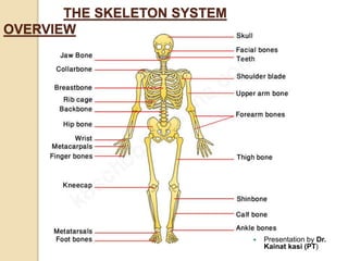 THE SKELETON SYSTEM
OVERVIEW
 Presentation by Dr.
Kainat kasi (PT)
 