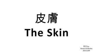皮膚
The Skin
整理 by:
Steven & Wesley
20151209
 