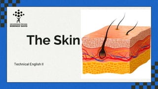 The Skin
Technical English II
 